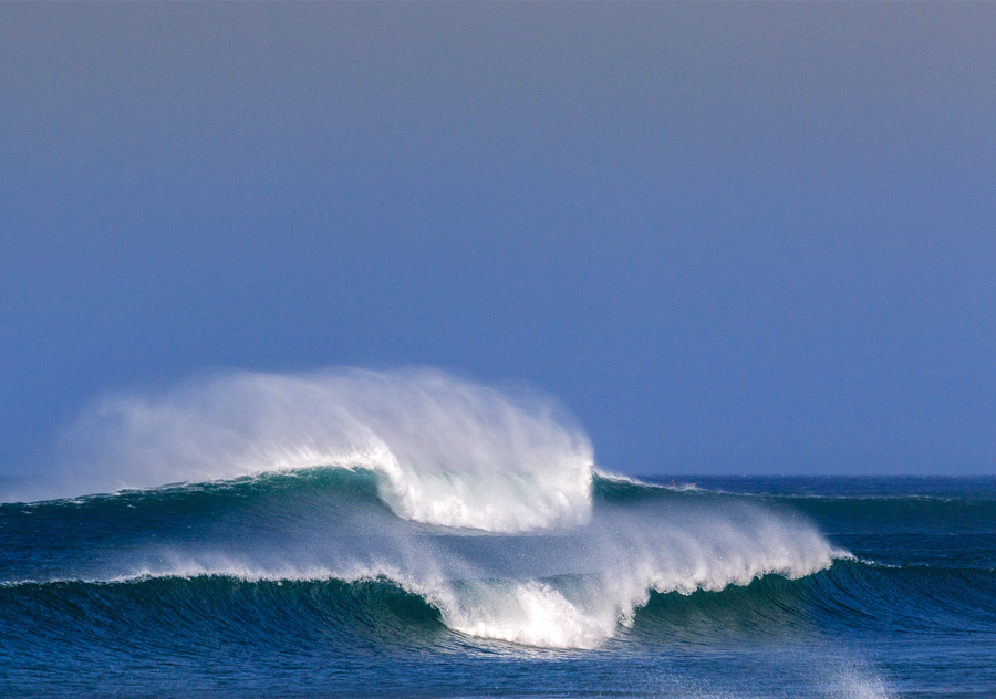 Panga Drops