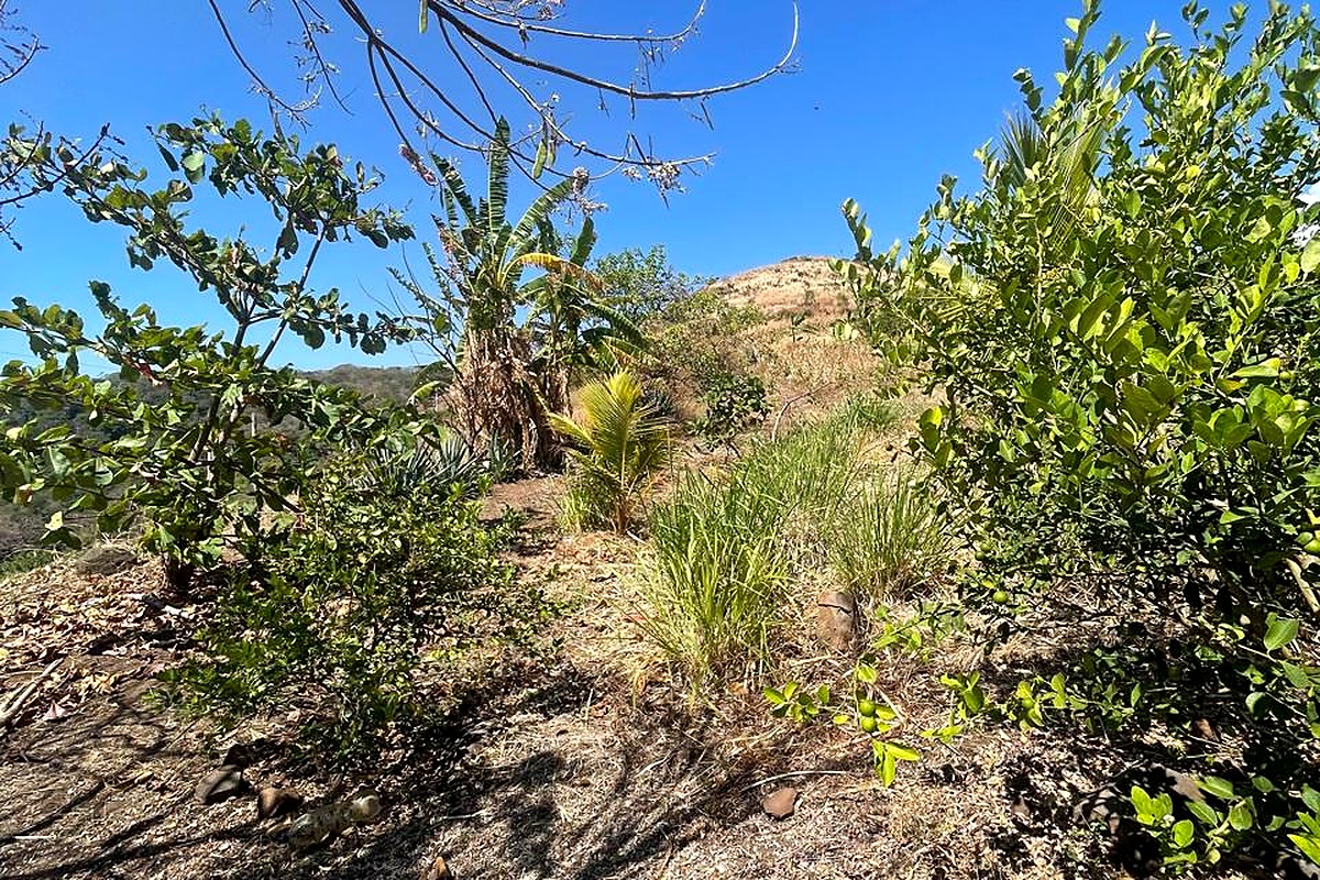 El Zonte Oceanview Lot thumbnail 7