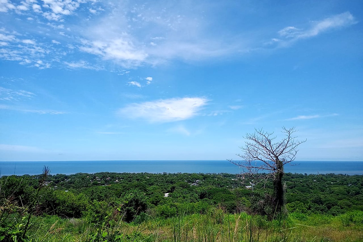 El Zonte Oceanview Lot - 2
