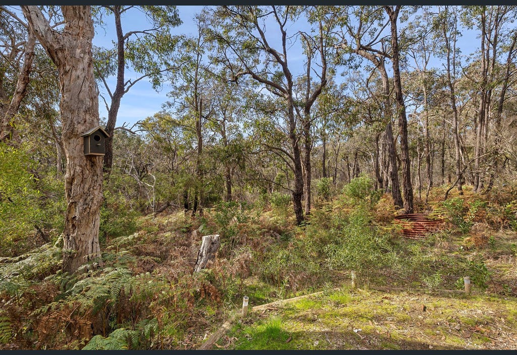Rare Bells Beach Surf Estate – 10 Acres Overlooking Australia’s Legendary Surf Coast - 5