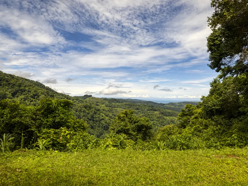 Once in a Lifetime Waterfall Farm in Rainforest - 2