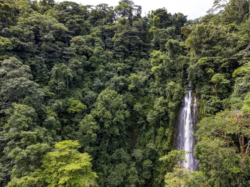Once in a Lifetime Waterfall Farm in Rainforest - 3