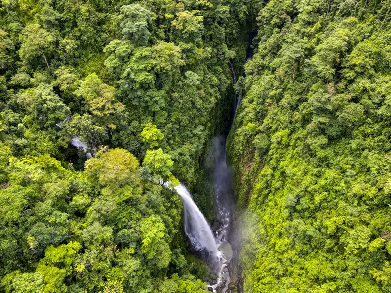 Once in a Lifetime Waterfall Farm in Rainforest - 4