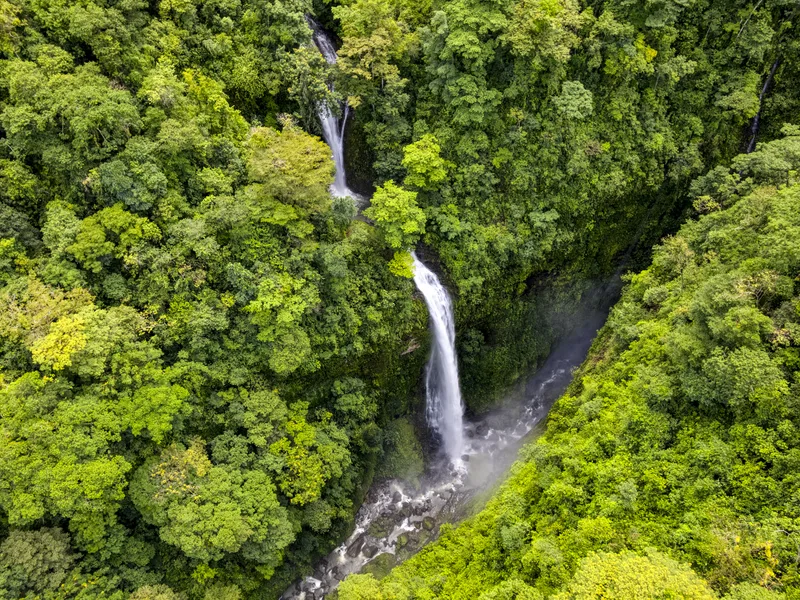 Once in a Lifetime Waterfall Farm in Rainforest thumbnail 6