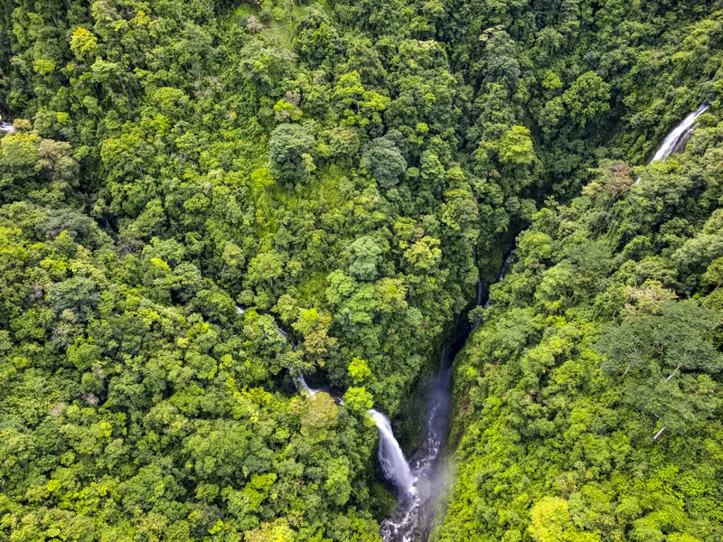 Once in a Lifetime Waterfall Farm in Rainforest thumbnail 7