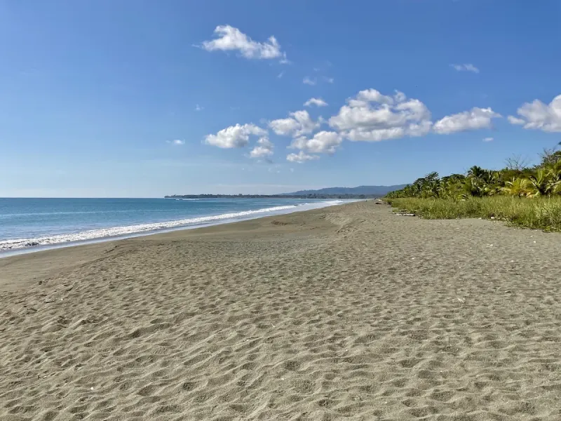 Jungle Beach Exotic Retreat - 2