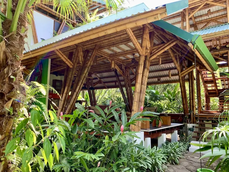 Jungle Beach Exotic Retreat - 5