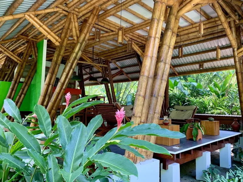 Jungle Beach Exotic Retreat thumbnail 6
