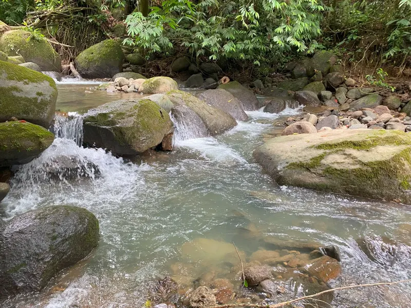 Platanillo, Costa Rica