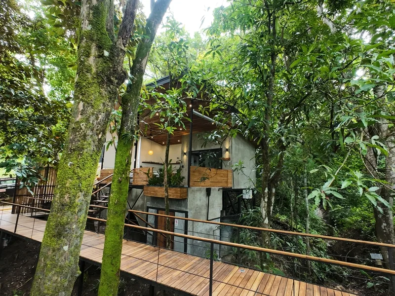 Serene Jungle Retreat with 3 Studios thumbnail 7