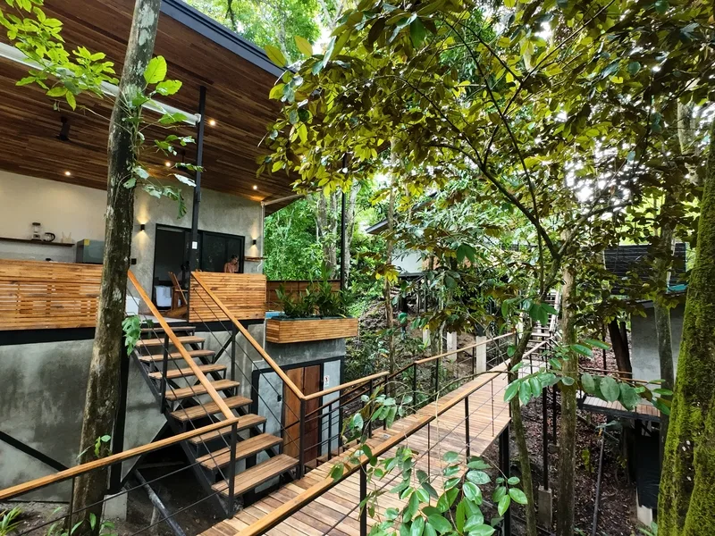 Serene Jungle Retreat with 3 Studios - 4