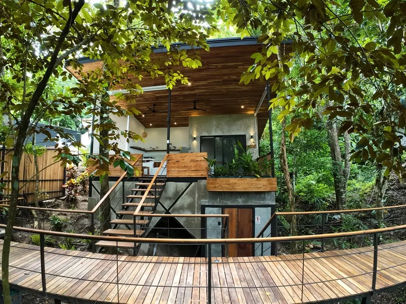 Serene Jungle Retreat with 3 Studios - 3