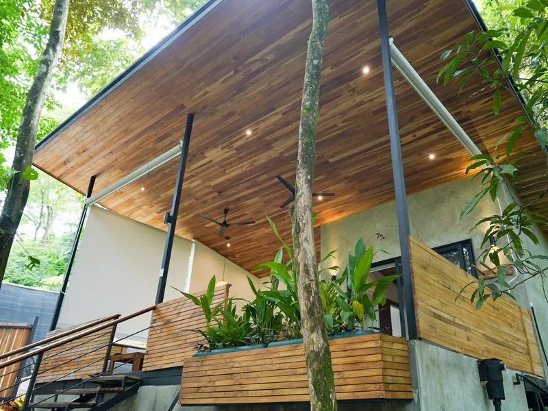 Serene Jungle Retreat with 3 Studios thumbnail 6