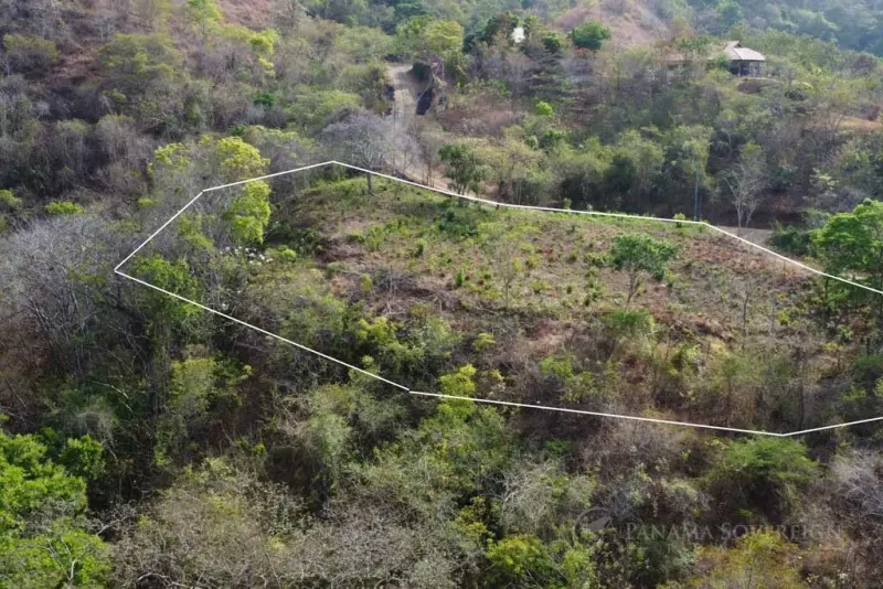 Half-Acre Ocean View Lot – Build Your Dream Home thumbnail 8