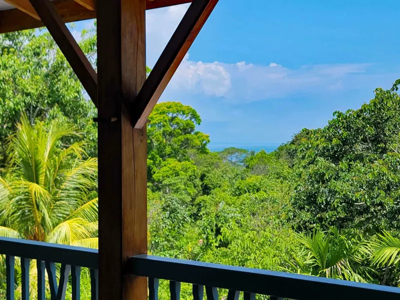 Pilon Villa with 3 Rentals and River - 5