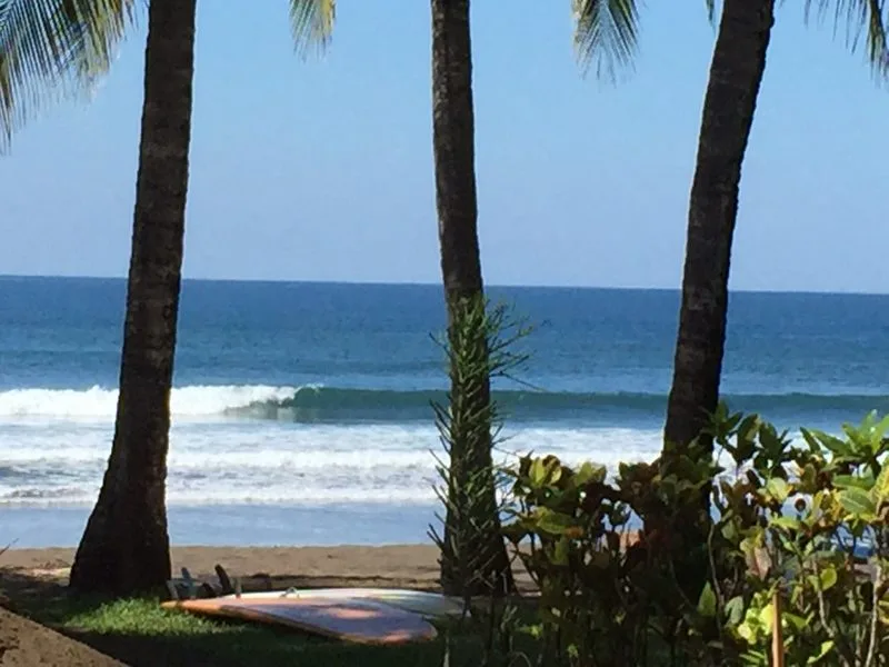 Luxury Beachfront Hermosa Palms Villa - 4