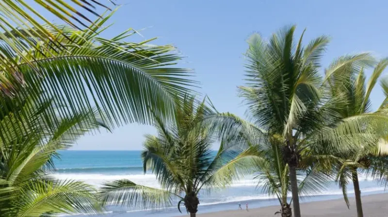 Luxury Beachfront Hermosa Palms Villa - 2