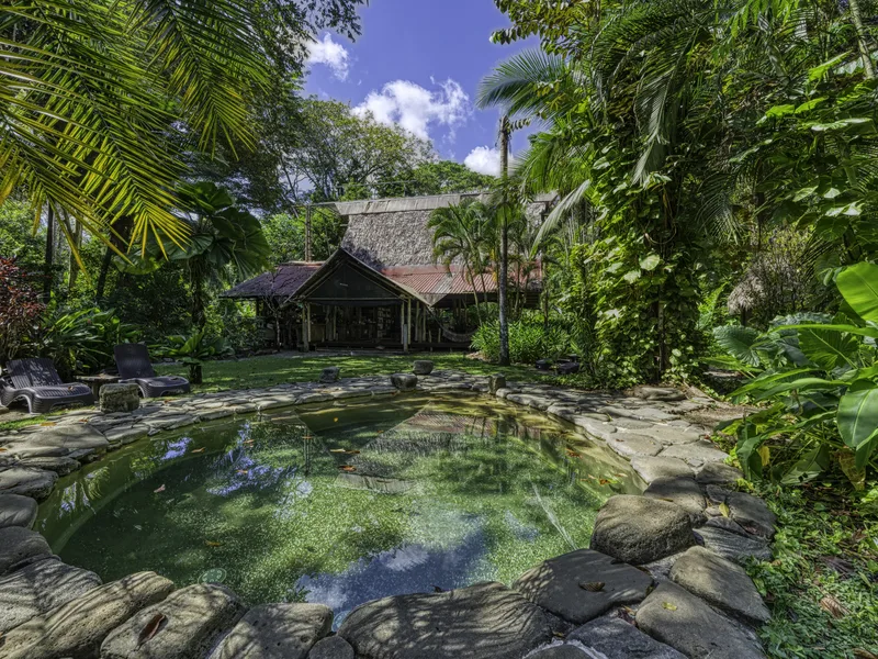 Beachfront Eco Lodge and Retreat in Cabo Matapalo - 2
