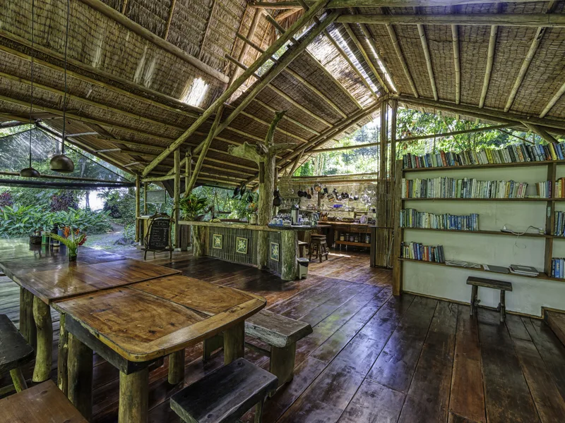 Beachfront Eco Lodge and Retreat in Cabo Matapalo - 3