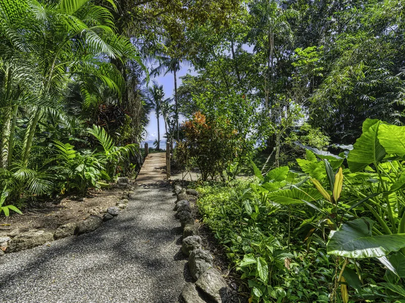 Beachfront Eco Lodge and Retreat in Cabo Matapalo - 4