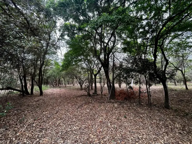 Beautiful Gated Community Lot in Hacienda Iguana - 3