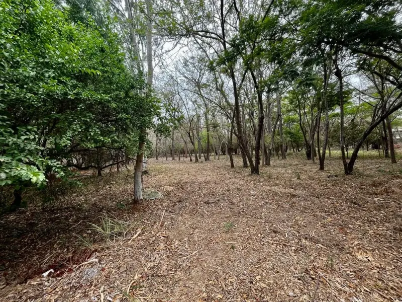 Beautiful Gated Community Lot in Hacienda Iguana - 4