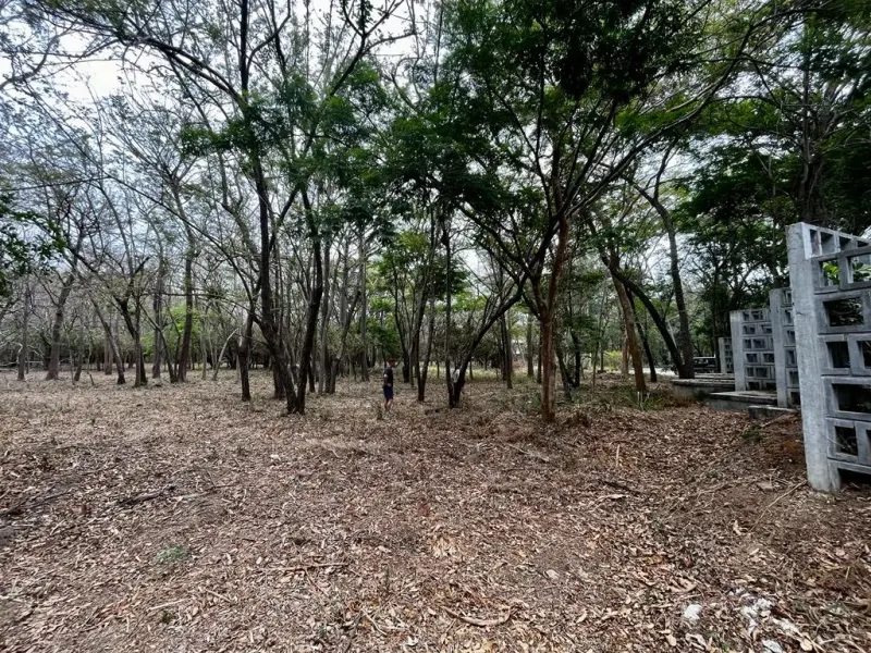 Beautiful Gated Community Lot in Hacienda Iguana thumbnail 6