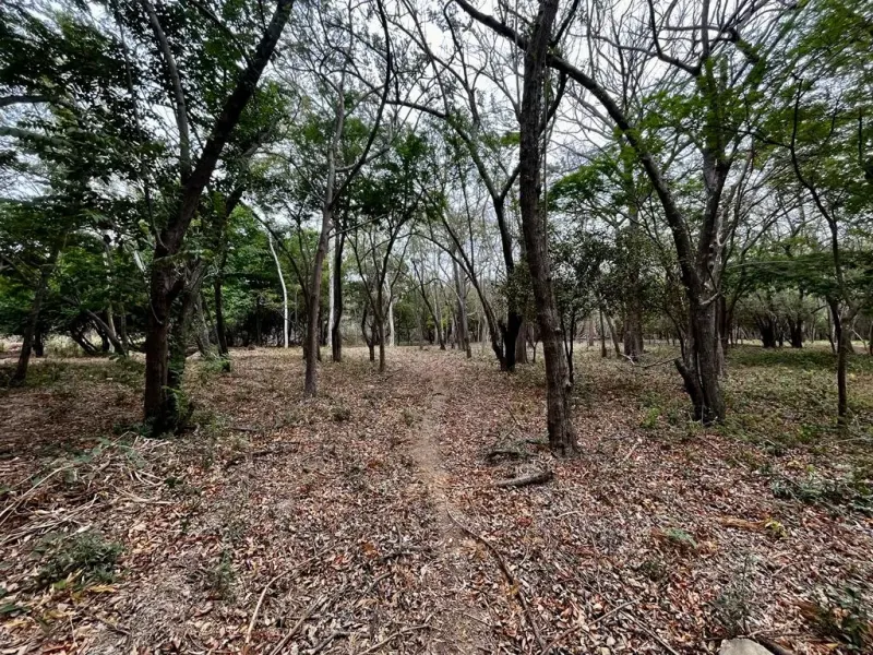 Beautiful Gated Community Lot in Hacienda Iguana thumbnail 7