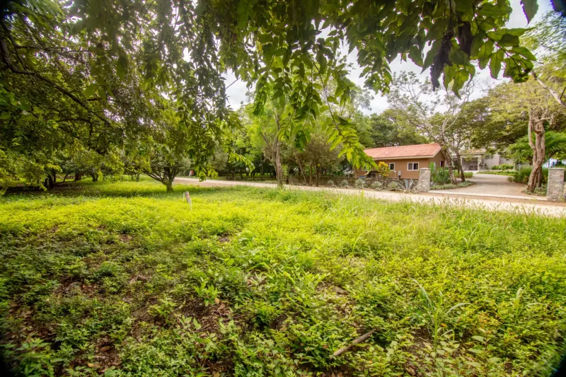 Beautiful B3 Lot – Hacienda Iguana thumbnail 1
