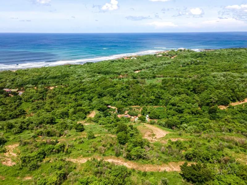 Oceanview Lots at Mango Time Beach Resort in Playa El Astillero - 4