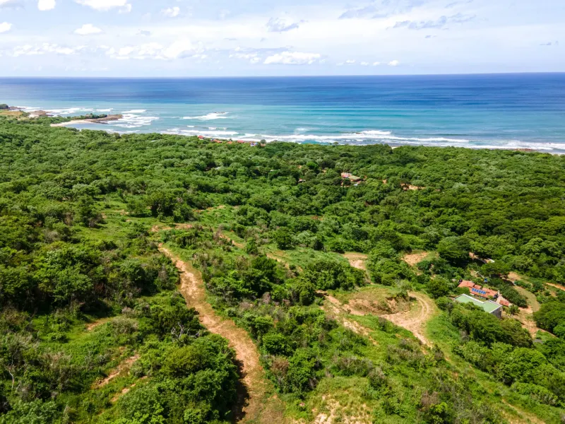Oceanview Lots at Mango Time Beach Resort in Playa El Astillero - 3