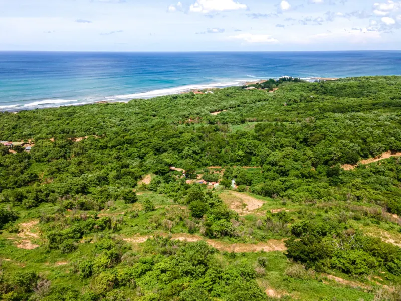 Oceanview Lots at Mango Time Beach Resort in Playa El Astillero - 5