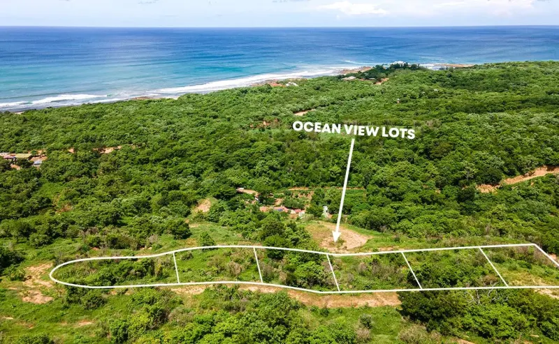 Oceanview Lots at Mango Time Beach Resort in Playa El Astillero - 2