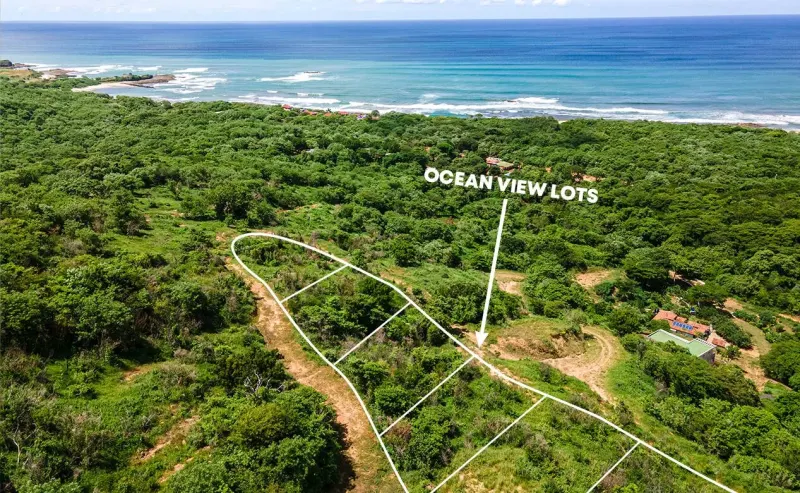 Oceanview Lots at Mango Time Beach Resort in Playa El Astillero thumbnail 1