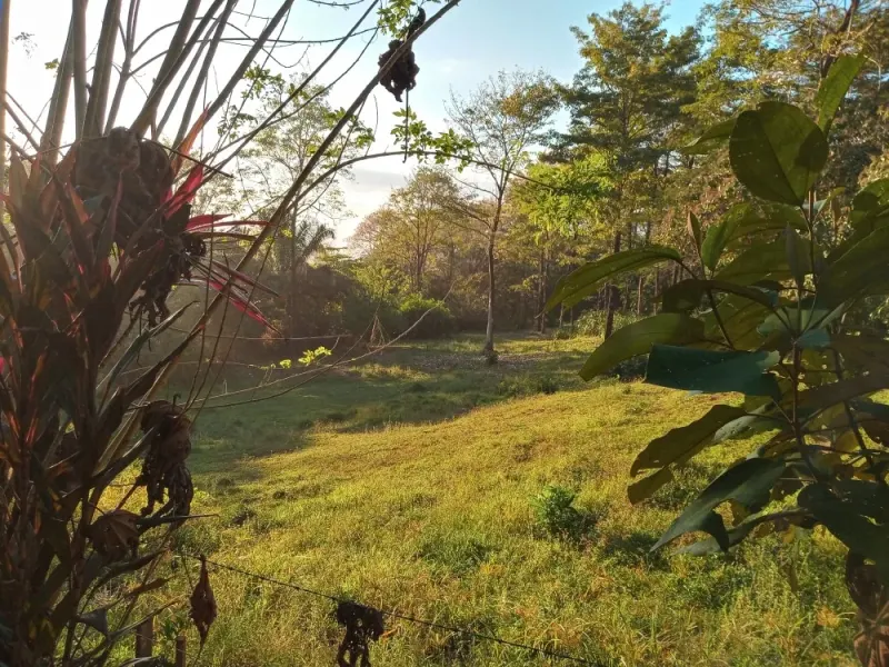 Punta Banco Pavones Titled Lots For Sale - 3