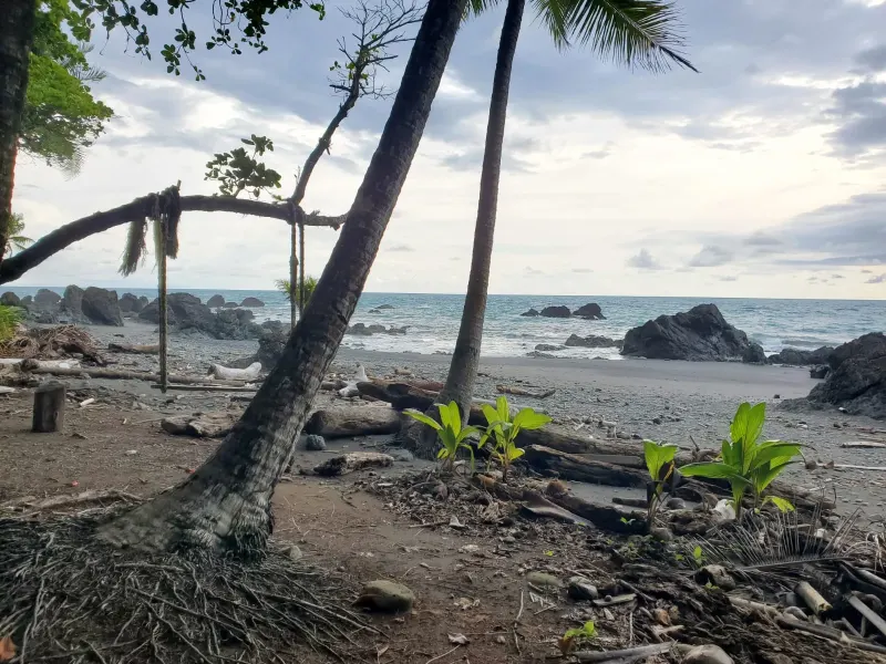 LA PIÑA WATERFRONT RESTAURANT FOR SALE IN PAVONES COSTA RICA thumbnail 8
