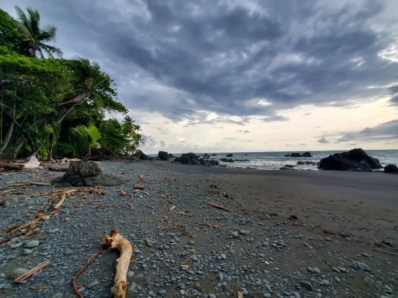 LA PIÑA WATERFRONT RESTAURANT FOR SALE IN PAVONES COSTA RICA thumbnail 7