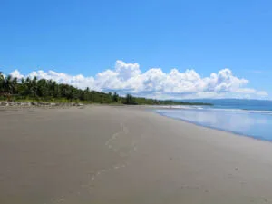 playa-zancudo-2-beach-lots-1-river-lot