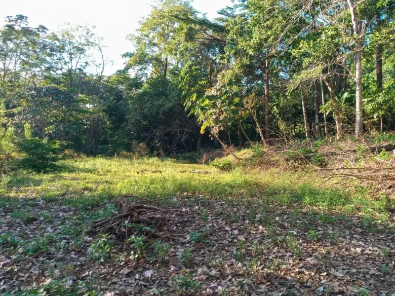 Punta Banco Pavones Titled Lots For Sale - 5