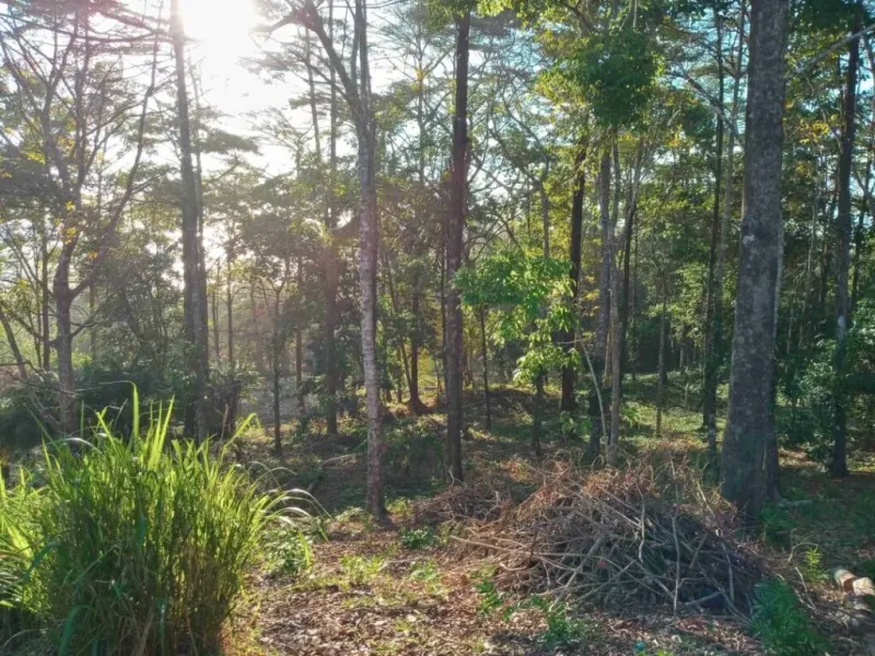 Punta Banco Pavones Titled Lots For Sale - 2