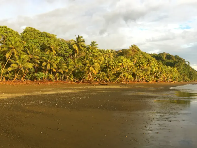 Punta Banco Pavones Titled Lots For Sale - 4