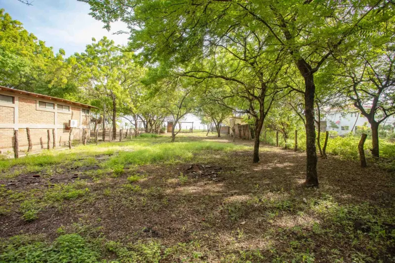 Guasacate Beachfront Lot at Popoyo - 2