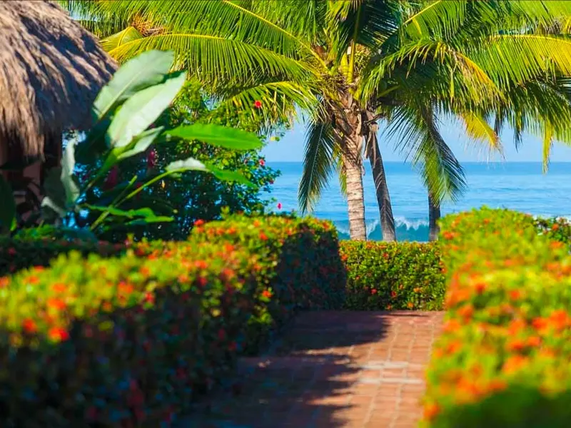 Playa Majahua Saladita Beach Hotel thumbnail 7