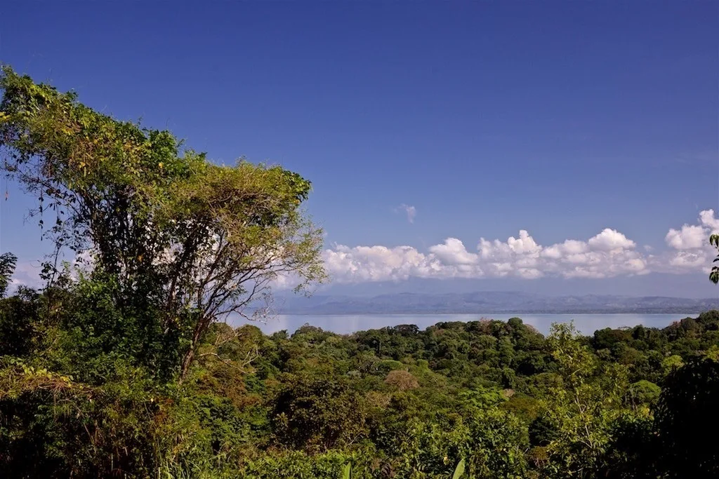 Pavones, Costa Rica