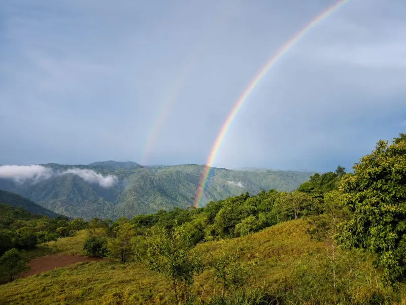 16 Hectares of Ocean View Land in Panama - 4