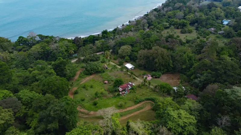 Paraiso Mangle – 1.24 Acres with House & Walk to Beach thumbnail 8
