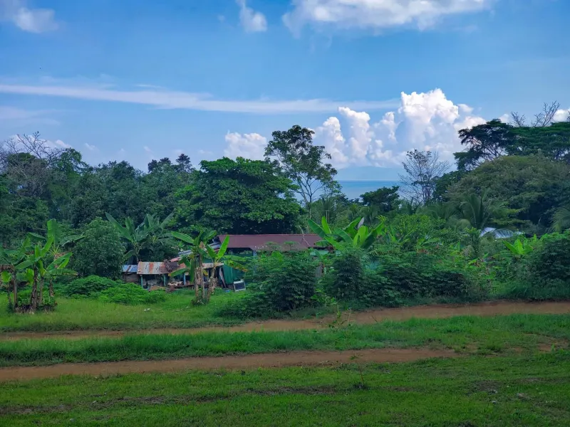 Paraiso Mangle – 1.24 Acres with House & Walk to Beach - 3