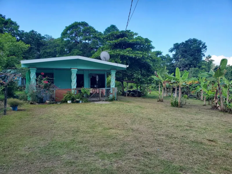 Paraiso Mangle – 1.24 Acres with House & Walk to Beach thumbnail 6