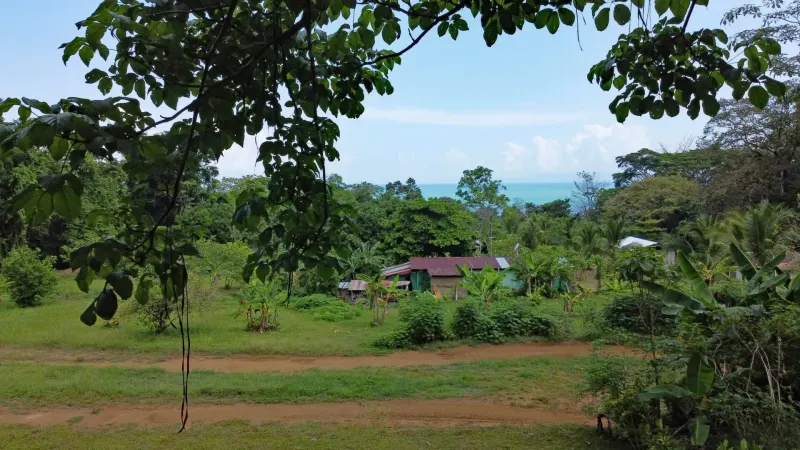 Paraiso Mangle – 1.24 Acres with House & Walk to Beach thumbnail 7