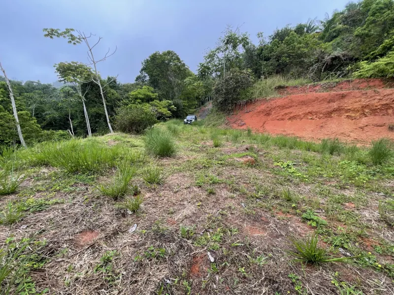 Ocean View Property with Creek and Building Sites - 4